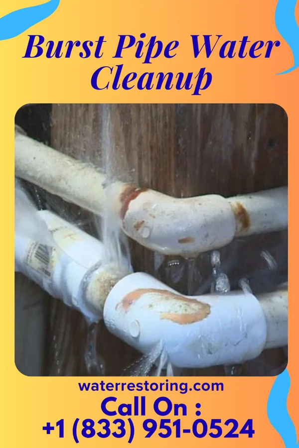 Burst Pipe Water Cleanup in Bridgewater, IA